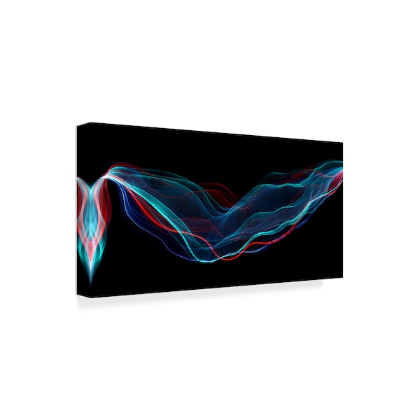 Heidi Westum 'Color Flow' Canvas Art,12x24